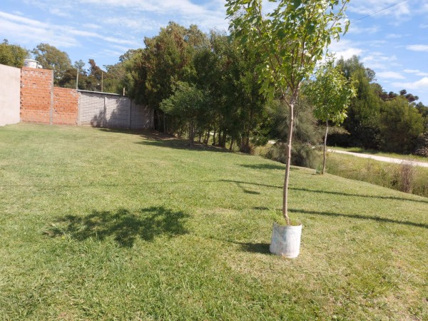Venta de lote en Madariaga