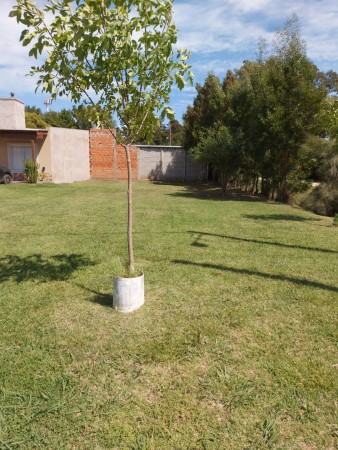 Venta de lote en Madariaga