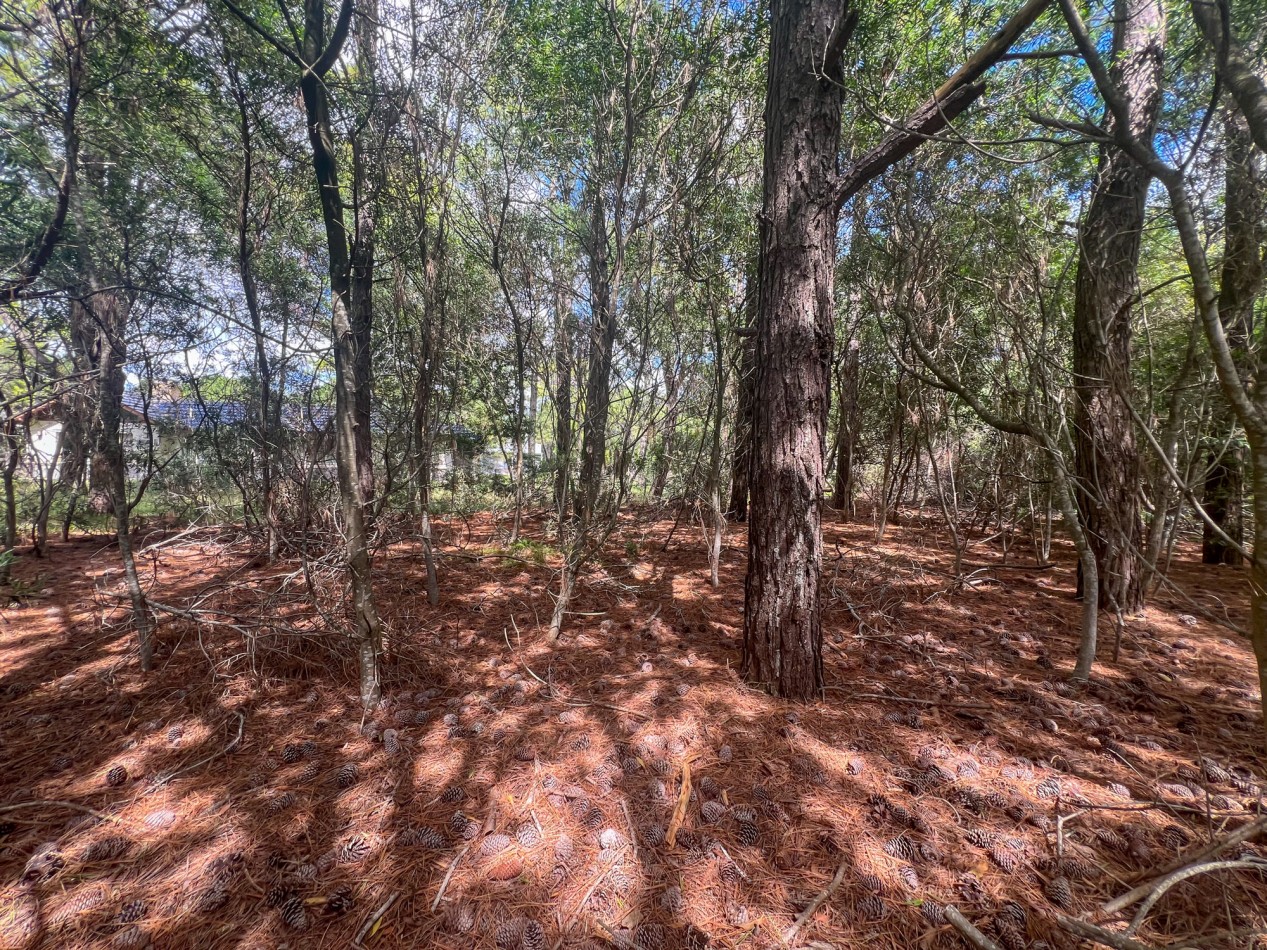 Lote Venta Pinamar Norte
