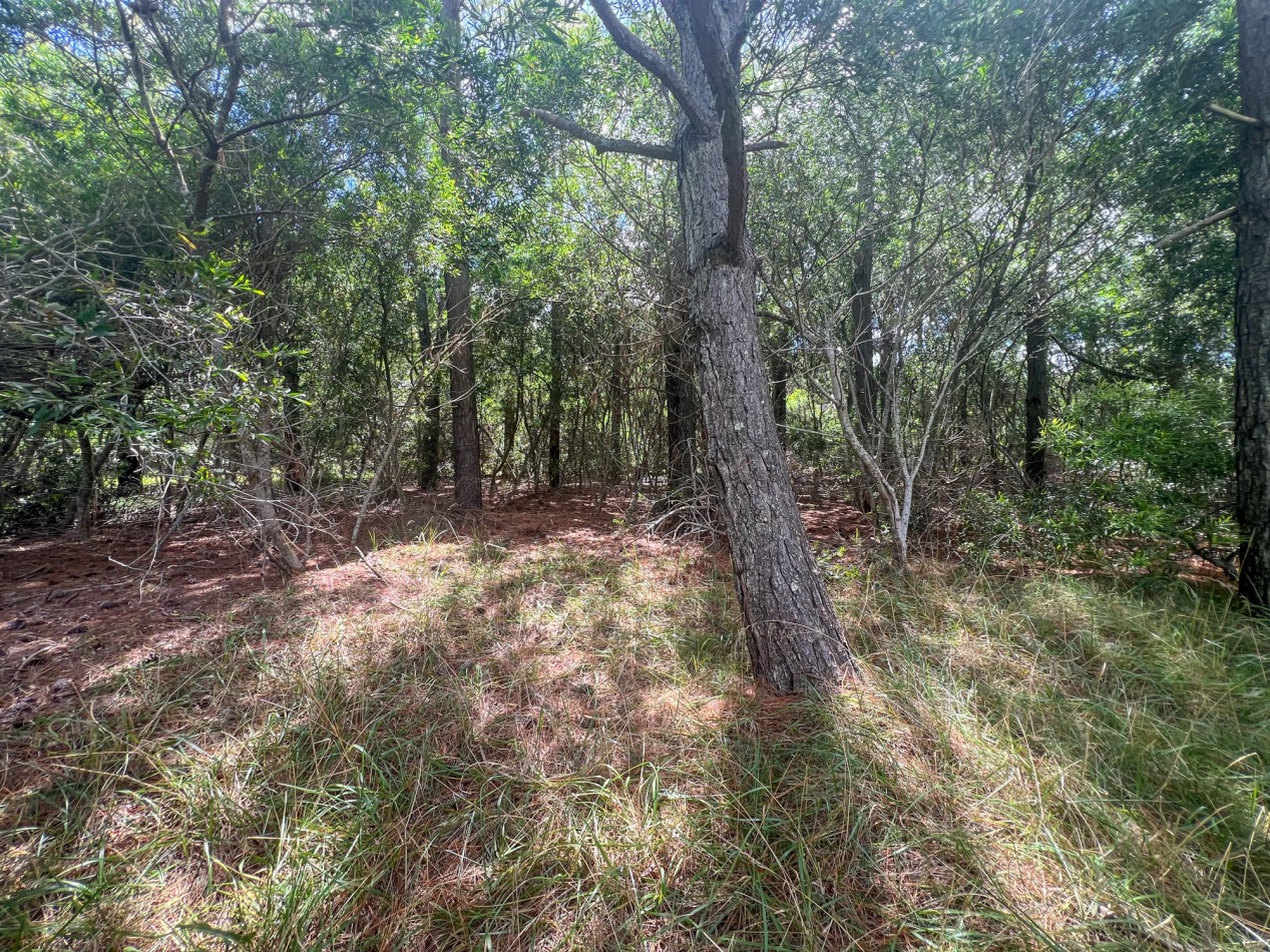 Lote Venta Pinamar Norte