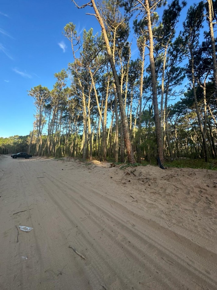 Venta Lote Barrio Los Enebros Carilo