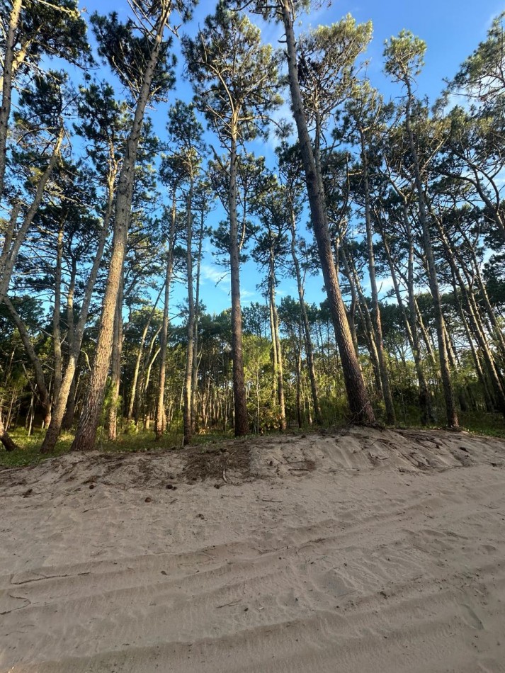 Venta Lote Barrio Los Enebros Carilo