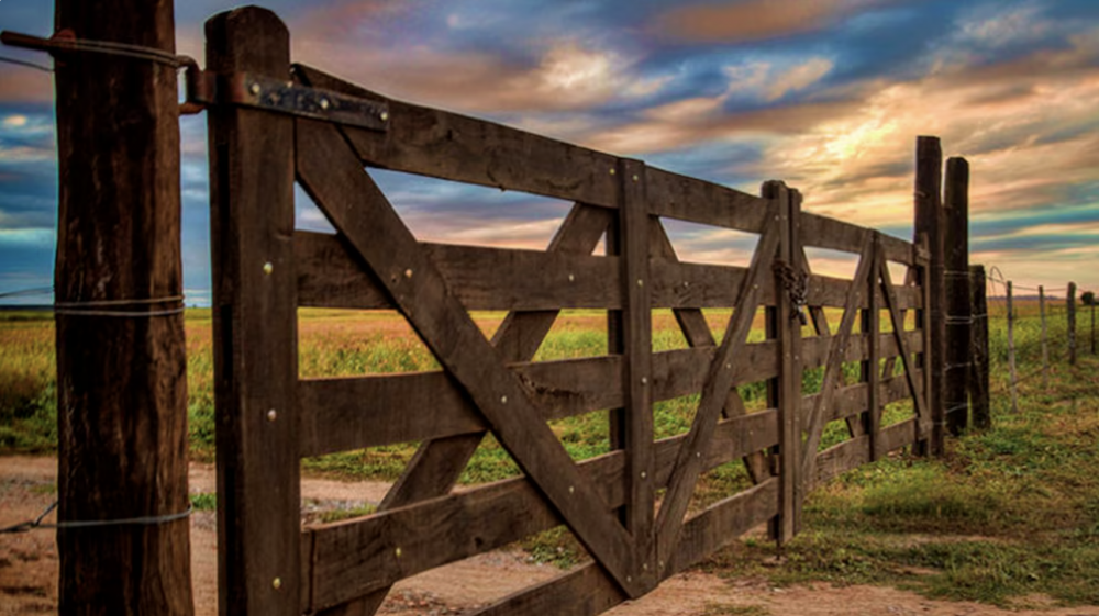 El mercado inmobiliario rural vuelve a moverse 