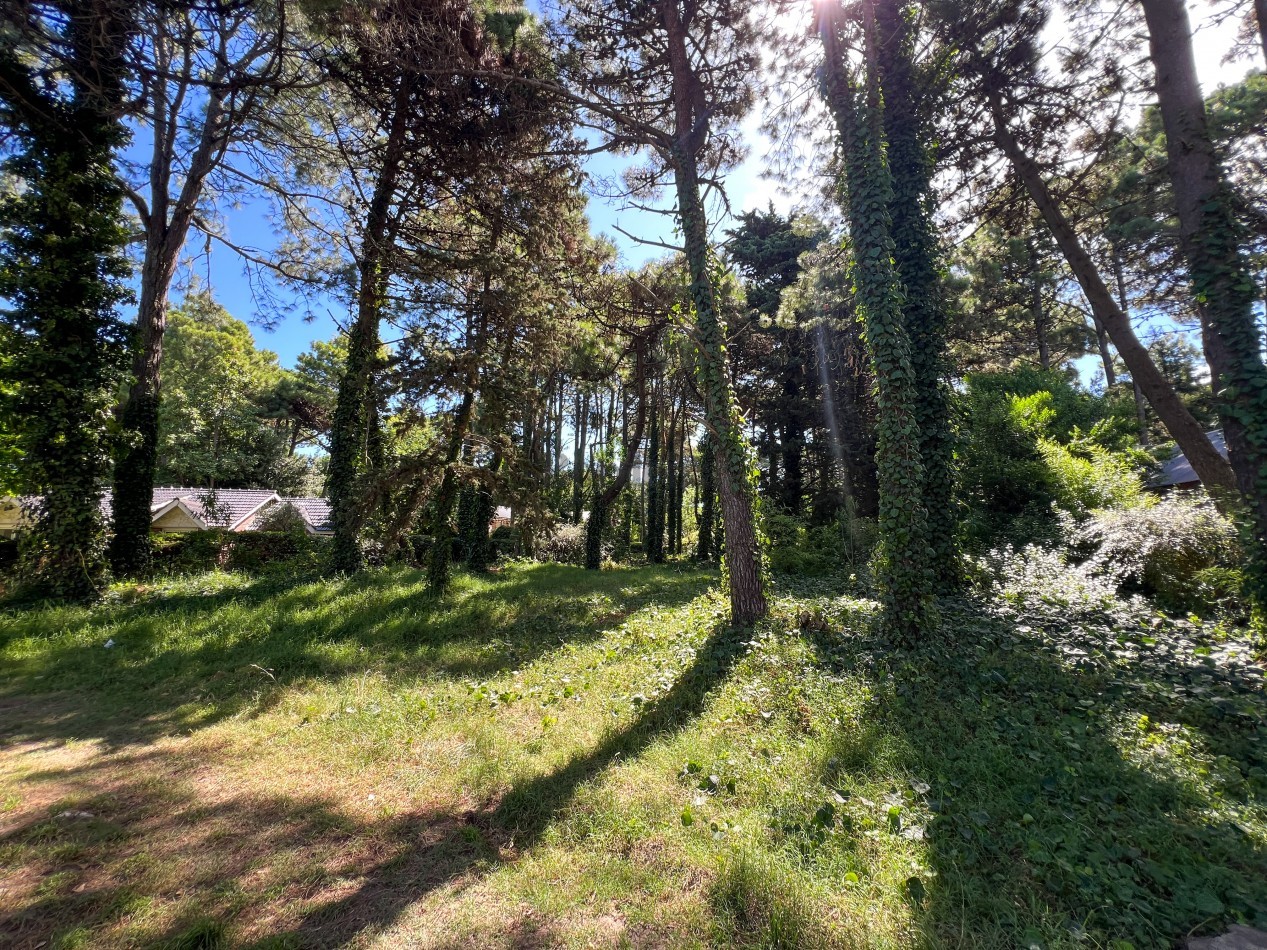 VENTA LOTE PINAMAR TRIDENTE