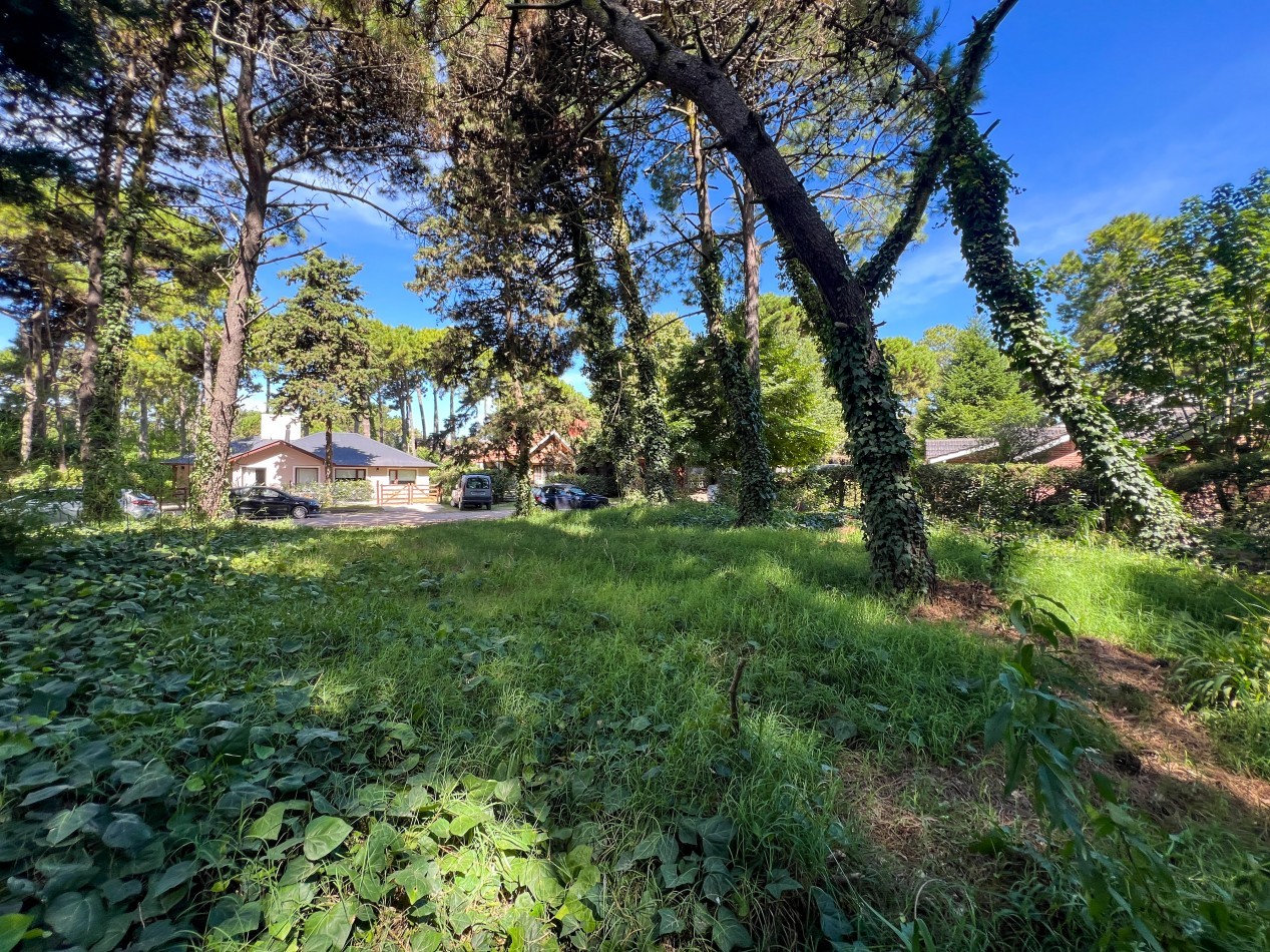 VENTA LOTE PINAMAR TRIDENTE