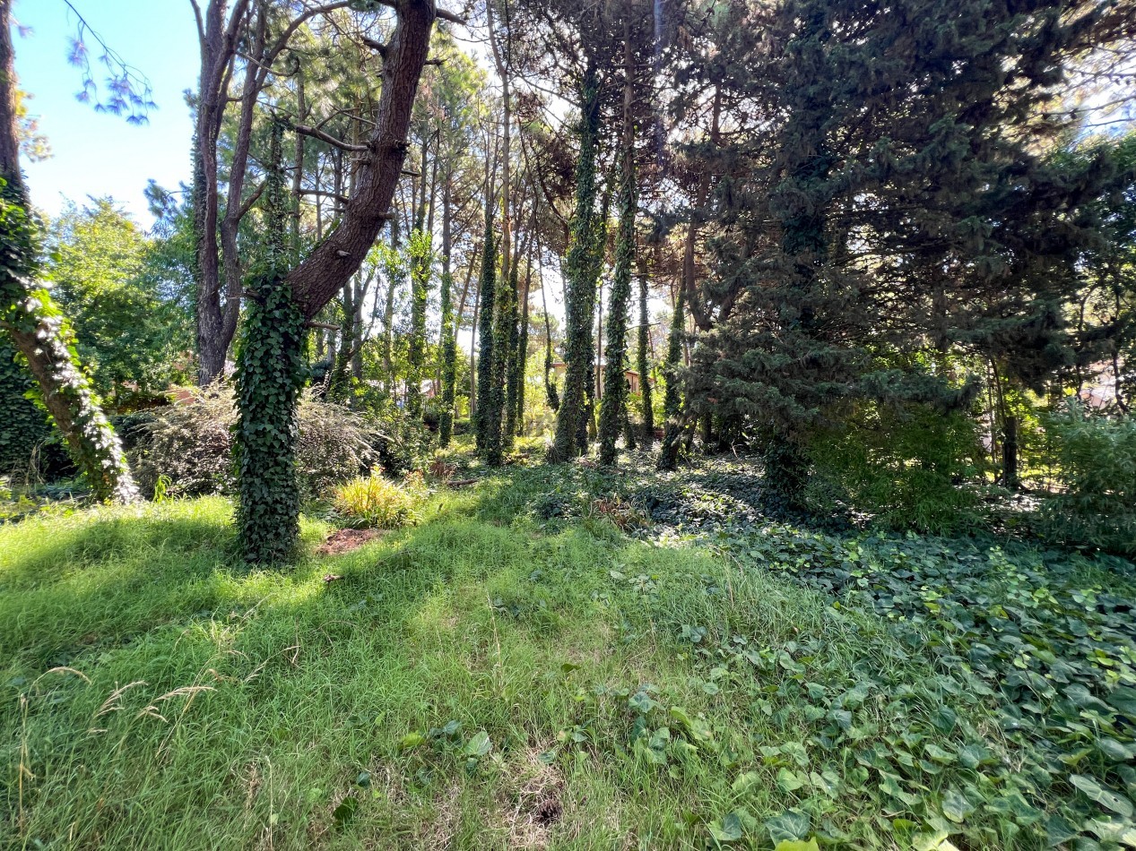 VENTA LOTE PINAMAR TRIDENTE