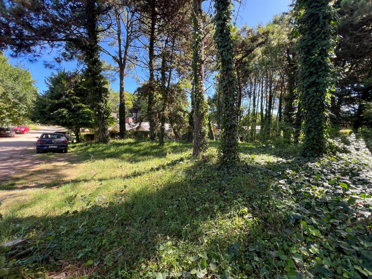 VENTA LOTE PINAMAR TRIDENTE