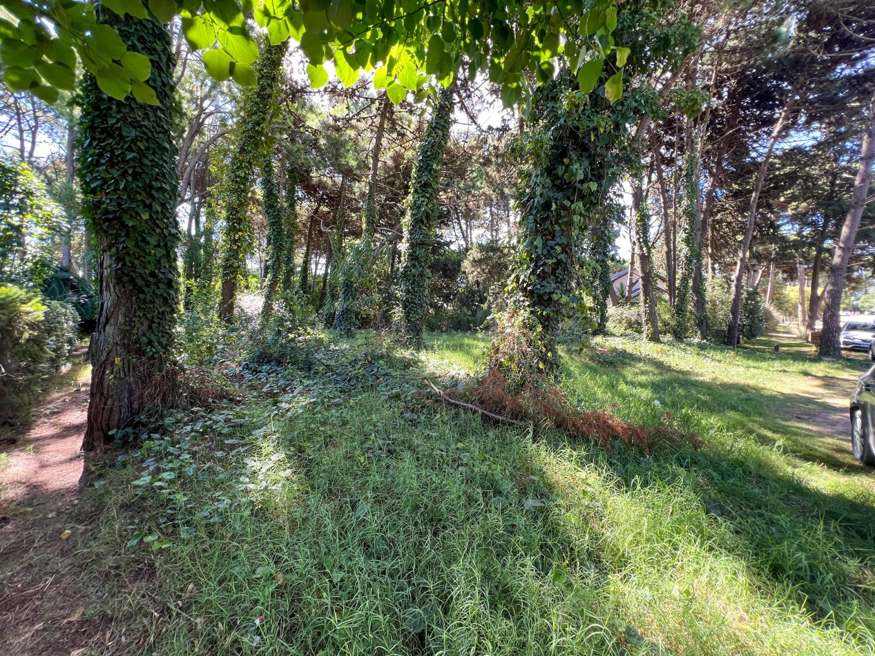VENTA LOTE PINAMAR TRIDENTE