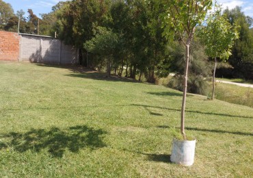 Venta de lote en Madariaga