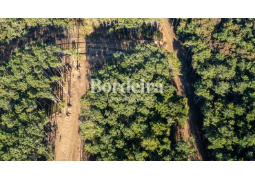 Venta Lote Barrio Los Enebros Carilo